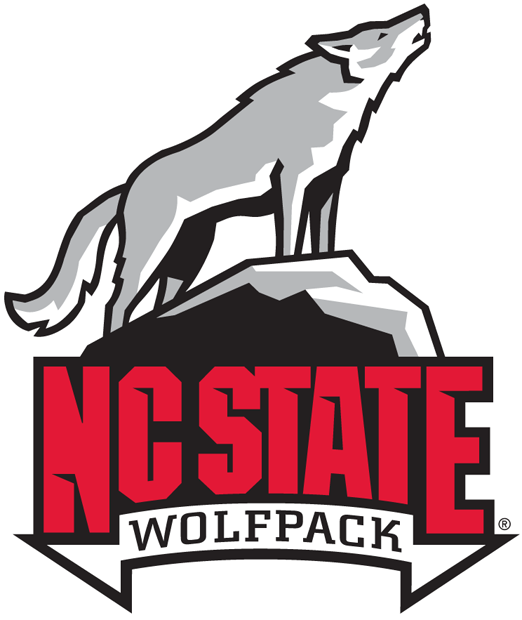 North Carolina State Wolfpack 2006-Pres Alternate Logo v4 diy DTF decal sticker